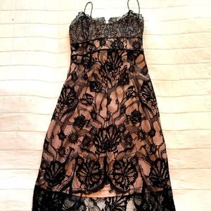 Lace lingerie fitted cocktail dress. Strappy back.